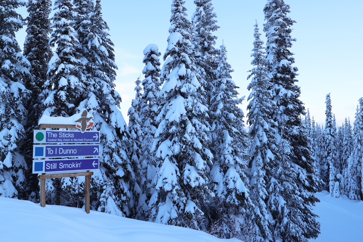 Signs for The Sticks, I Dunno, and Still Smokin' ski runs on Mt. Morrisey in front of snowy trees at dusk. An image of a brown grouse and an orange arrow point the way to the Grouse's Nest.