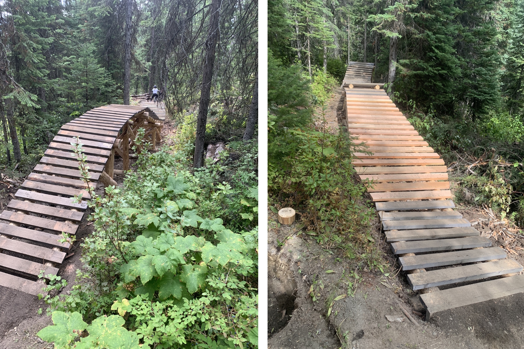 Pictures of a wooden bike feature in the forest