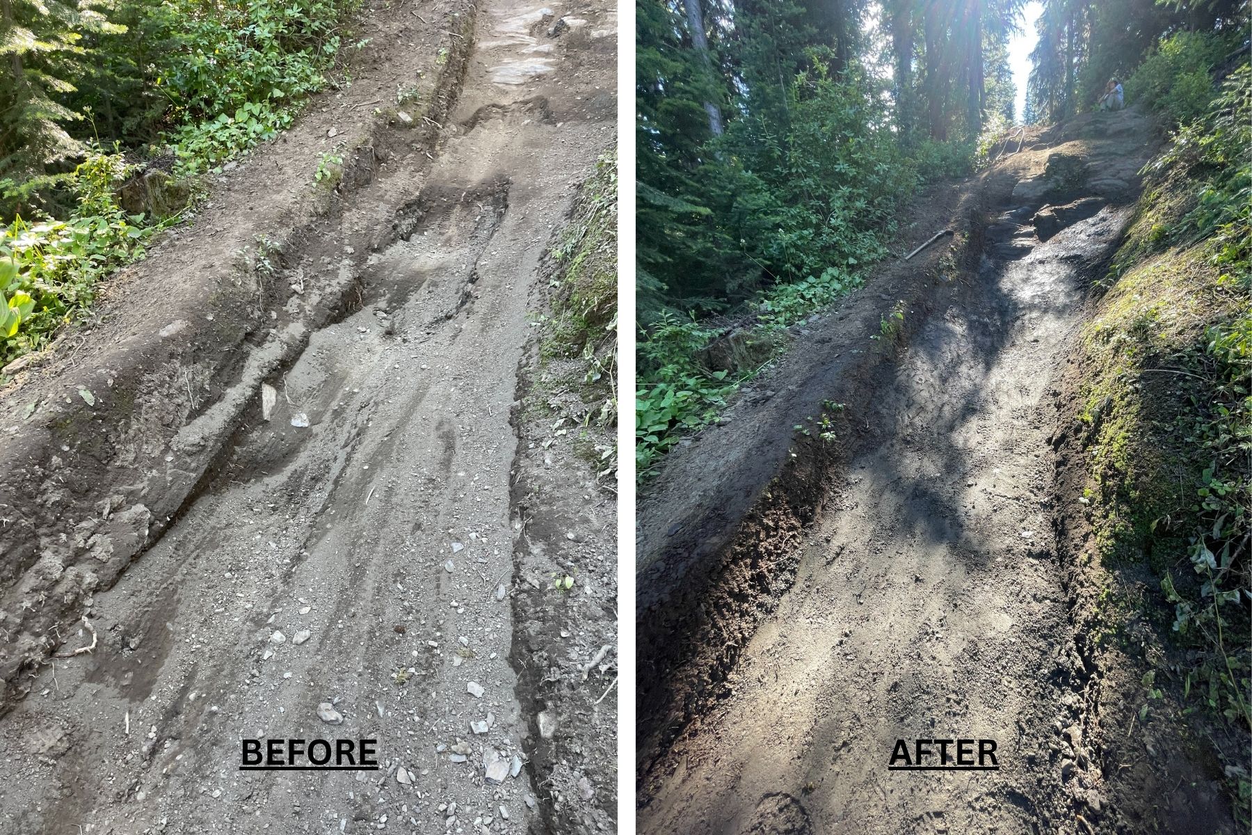 Rock roll rebuild on Insanity One trail.