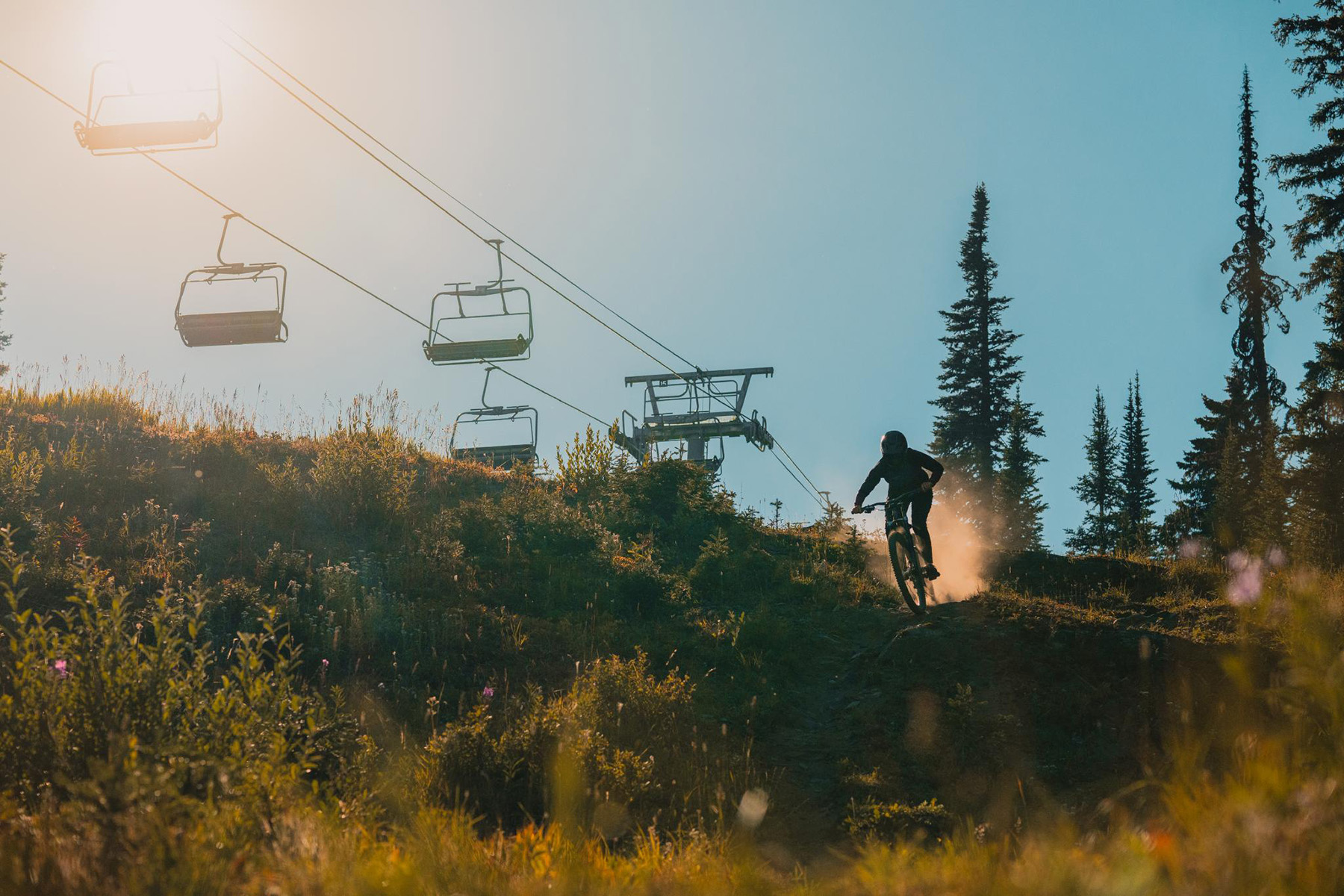 Mountain biker biking down a trail at Sun Peaks Resort