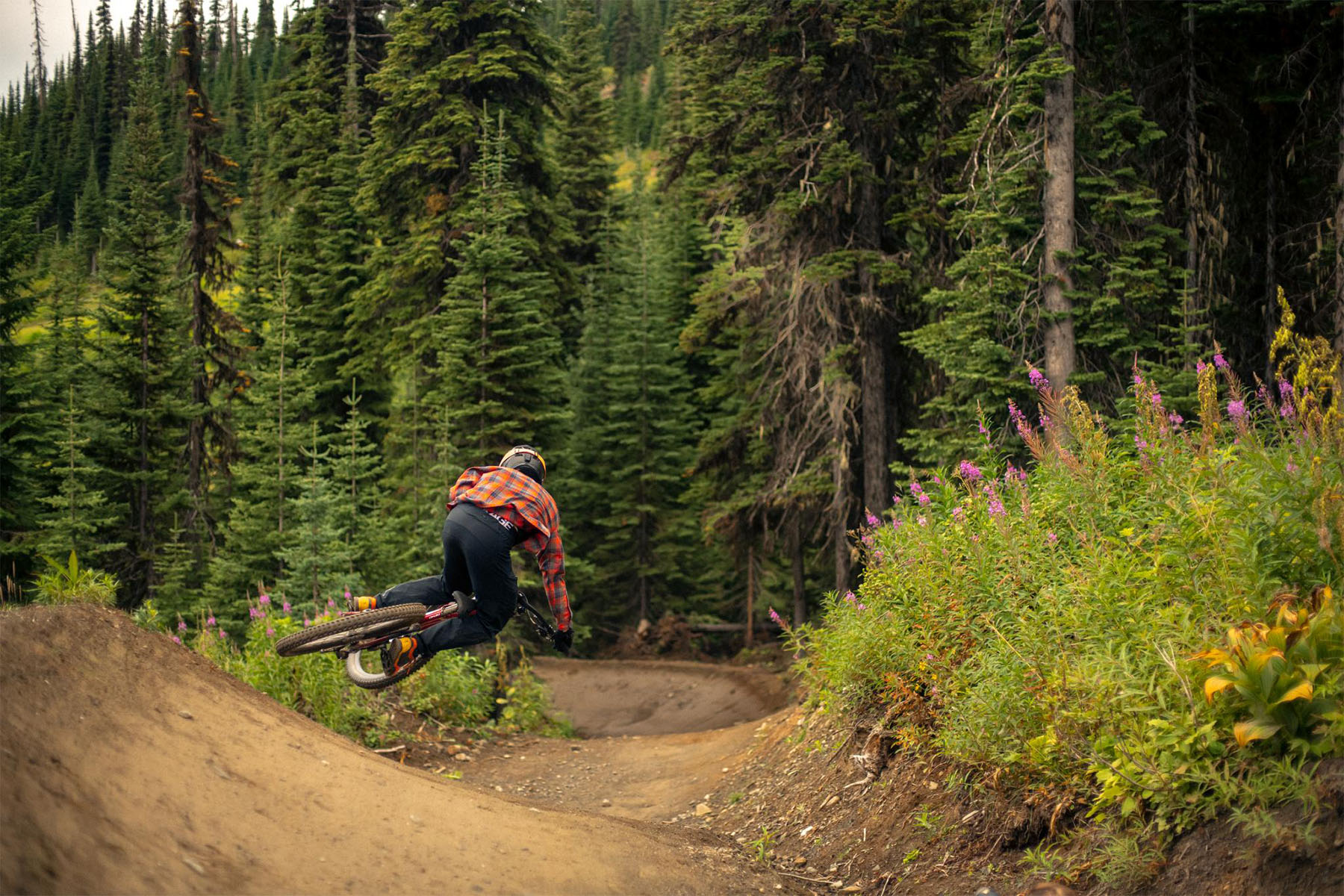 Mountain biker hitting a small side jump wearing a red plaid shirt with lush green forest behind.
