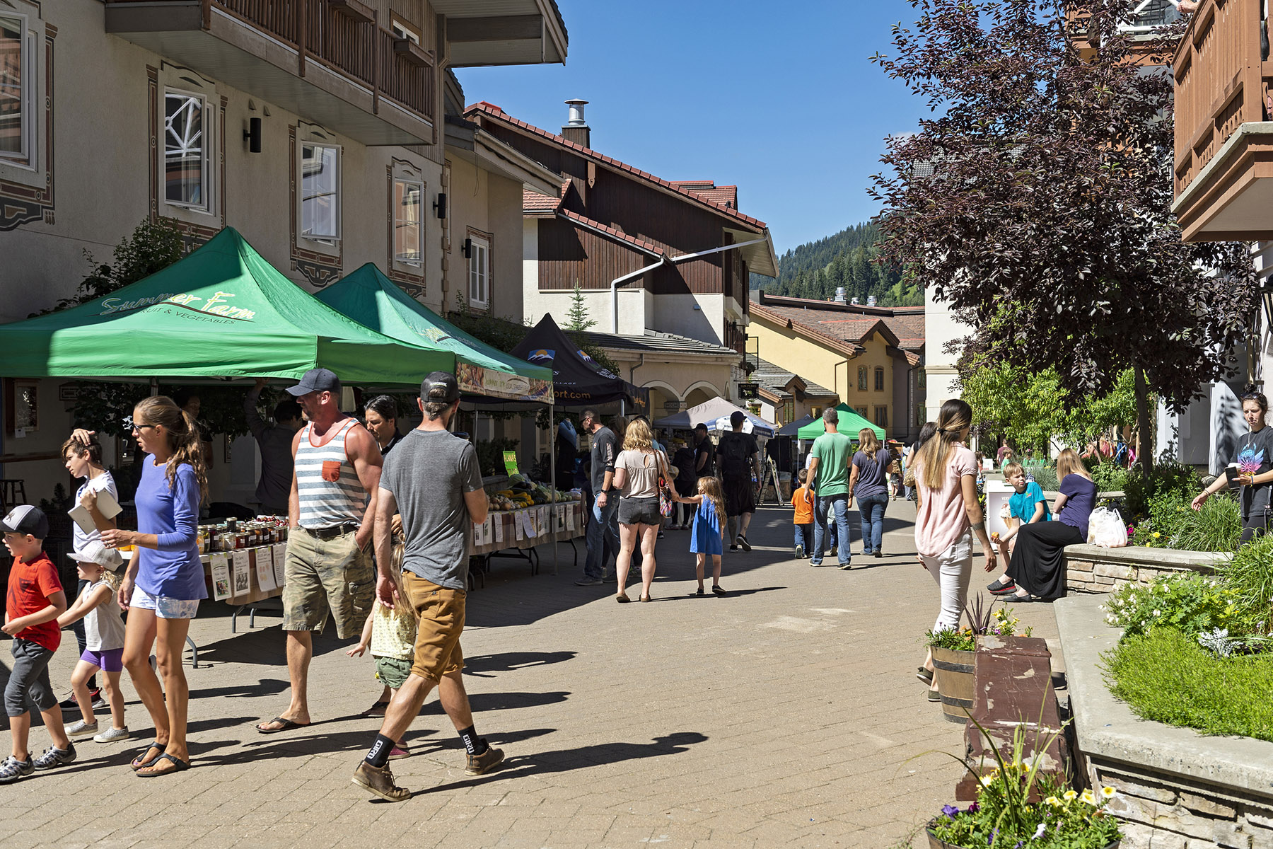 lively sun peaks market day