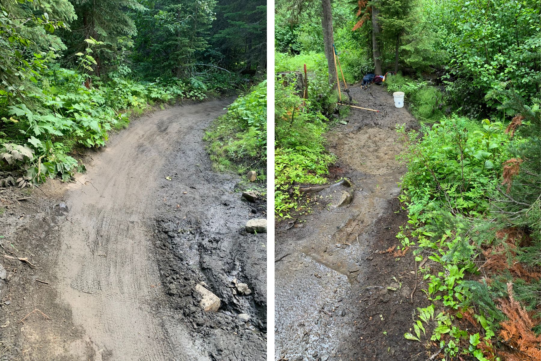 Trail rebuild photos in the forest