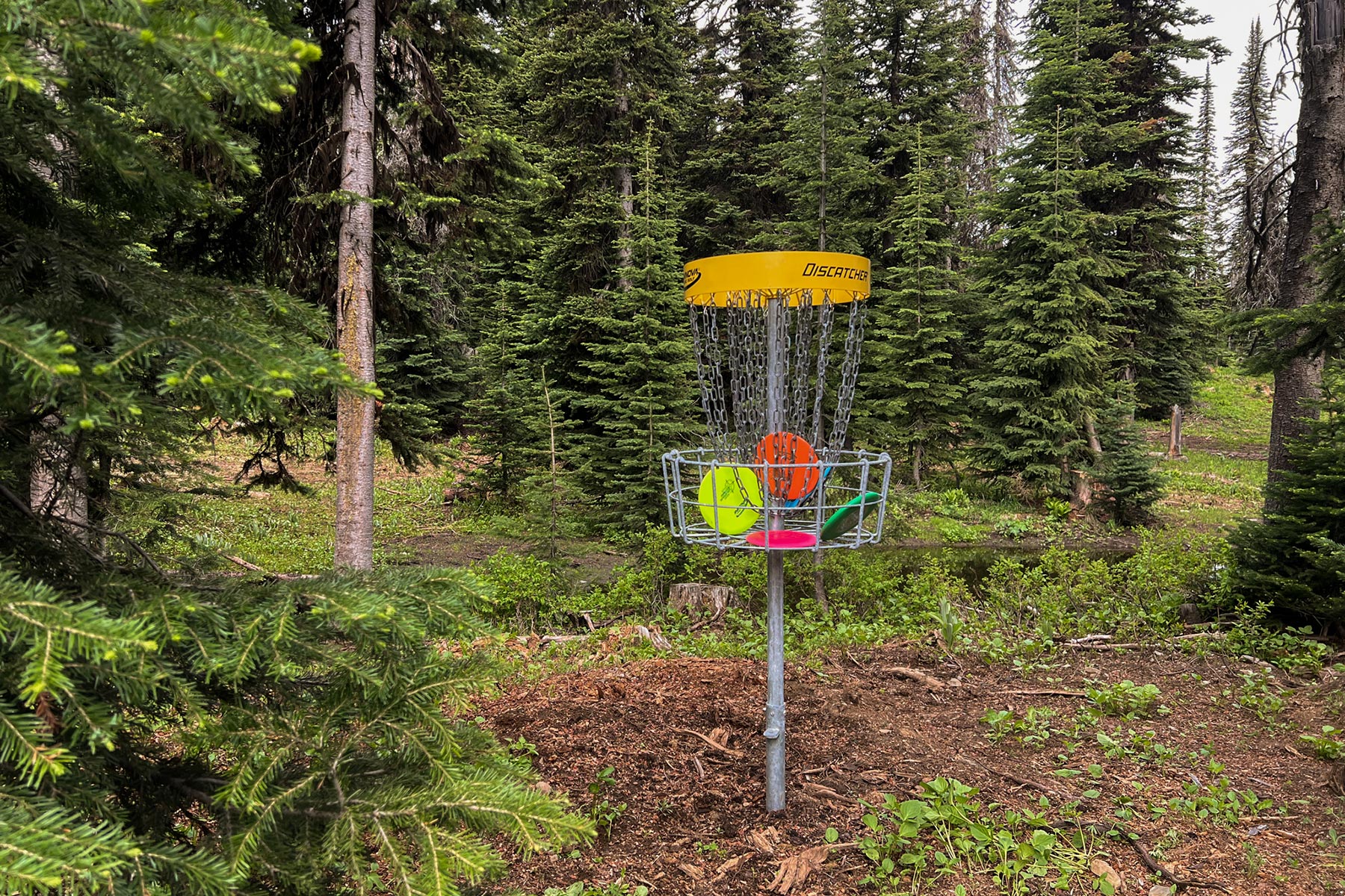Disc golf hole with discs
