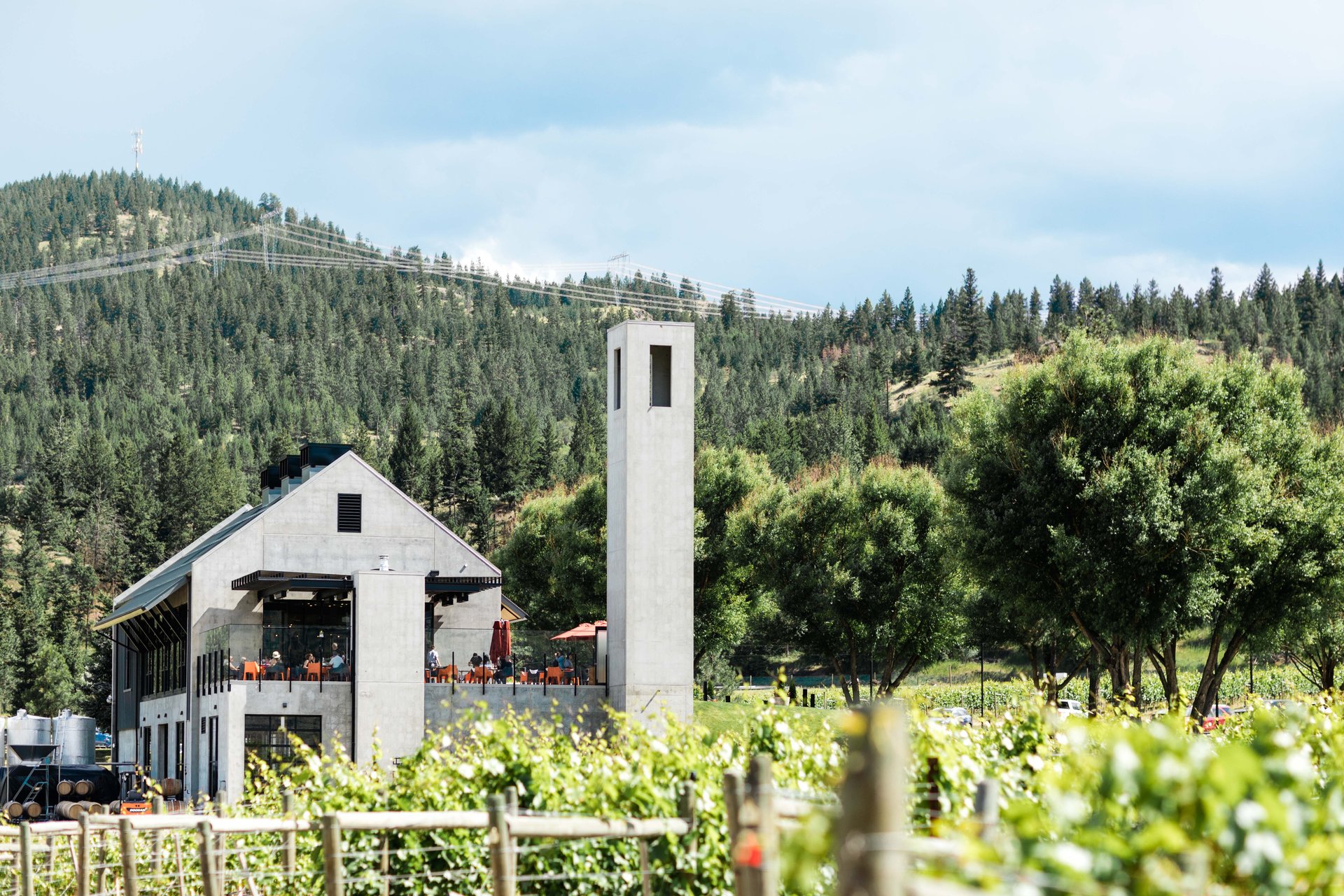 Monte Creek Winery building and landscape