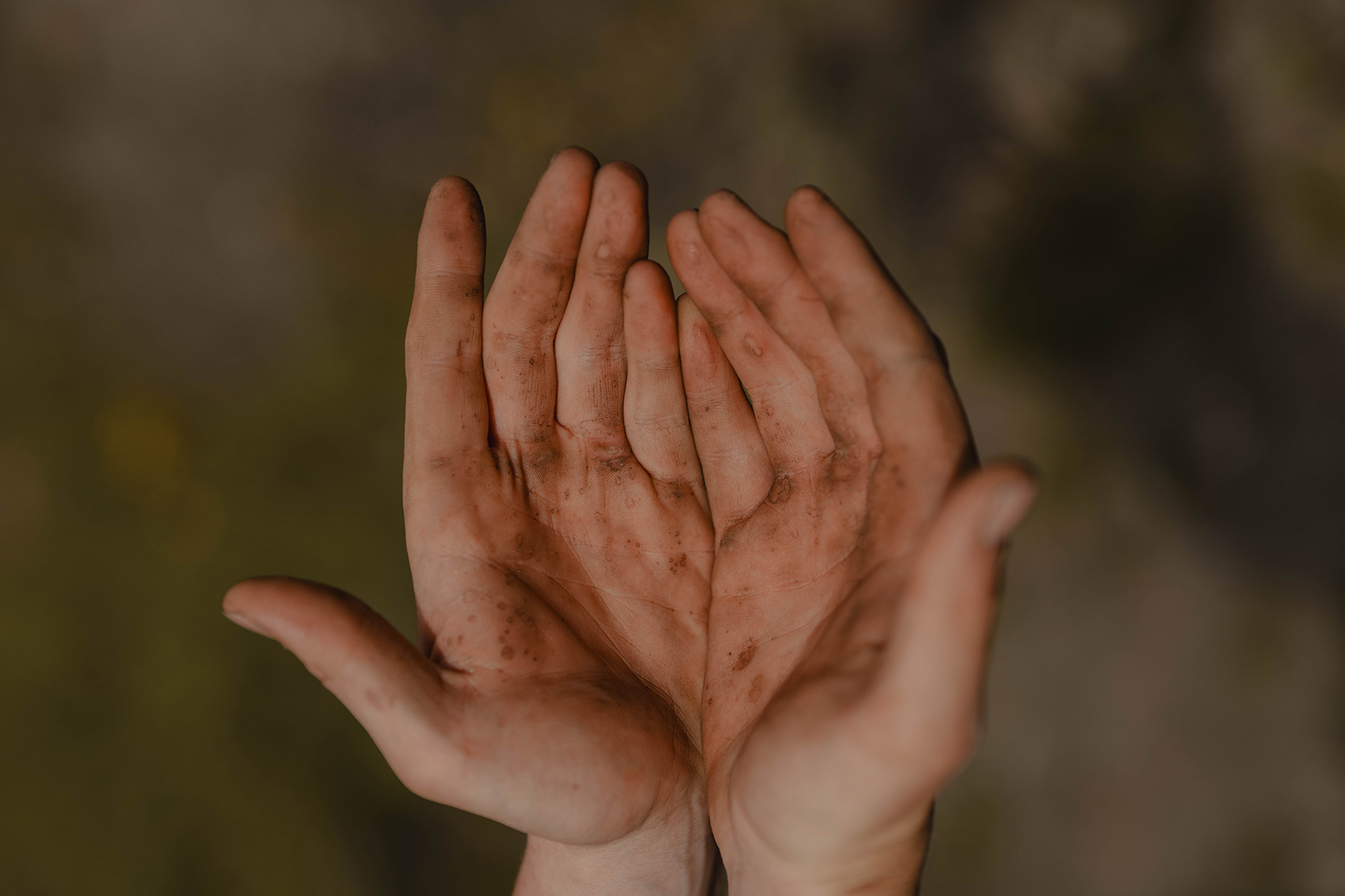 Two hands held together showing dirt and calluses from trail building.