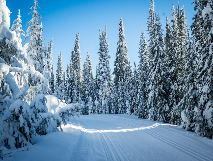 The Splendour of Sun Peaks Resort in 21 Gorgeous Photos | Sun Peaks Resort