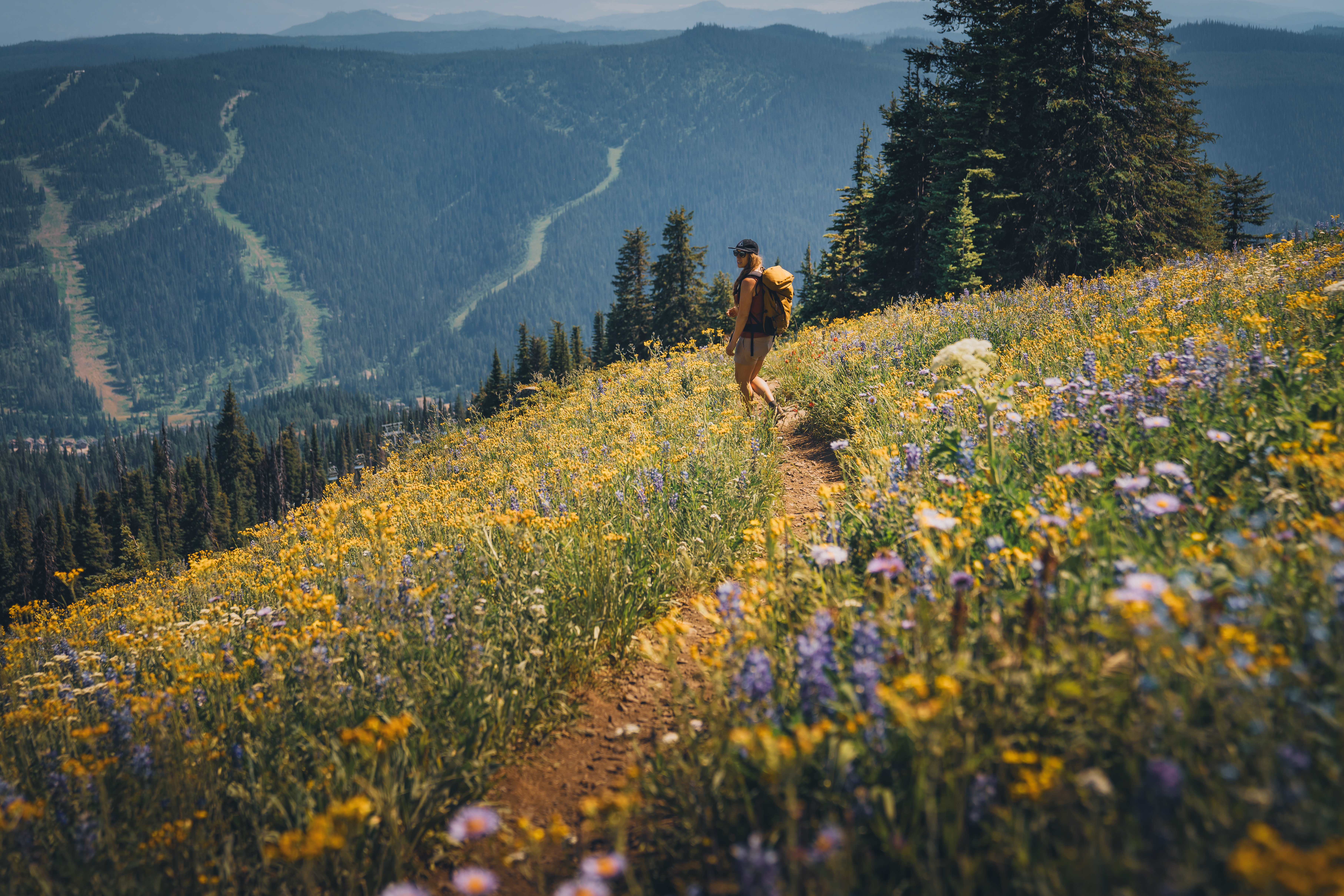 Hiker hiking on Top of the Worl trail up at Sun Peaks Resort