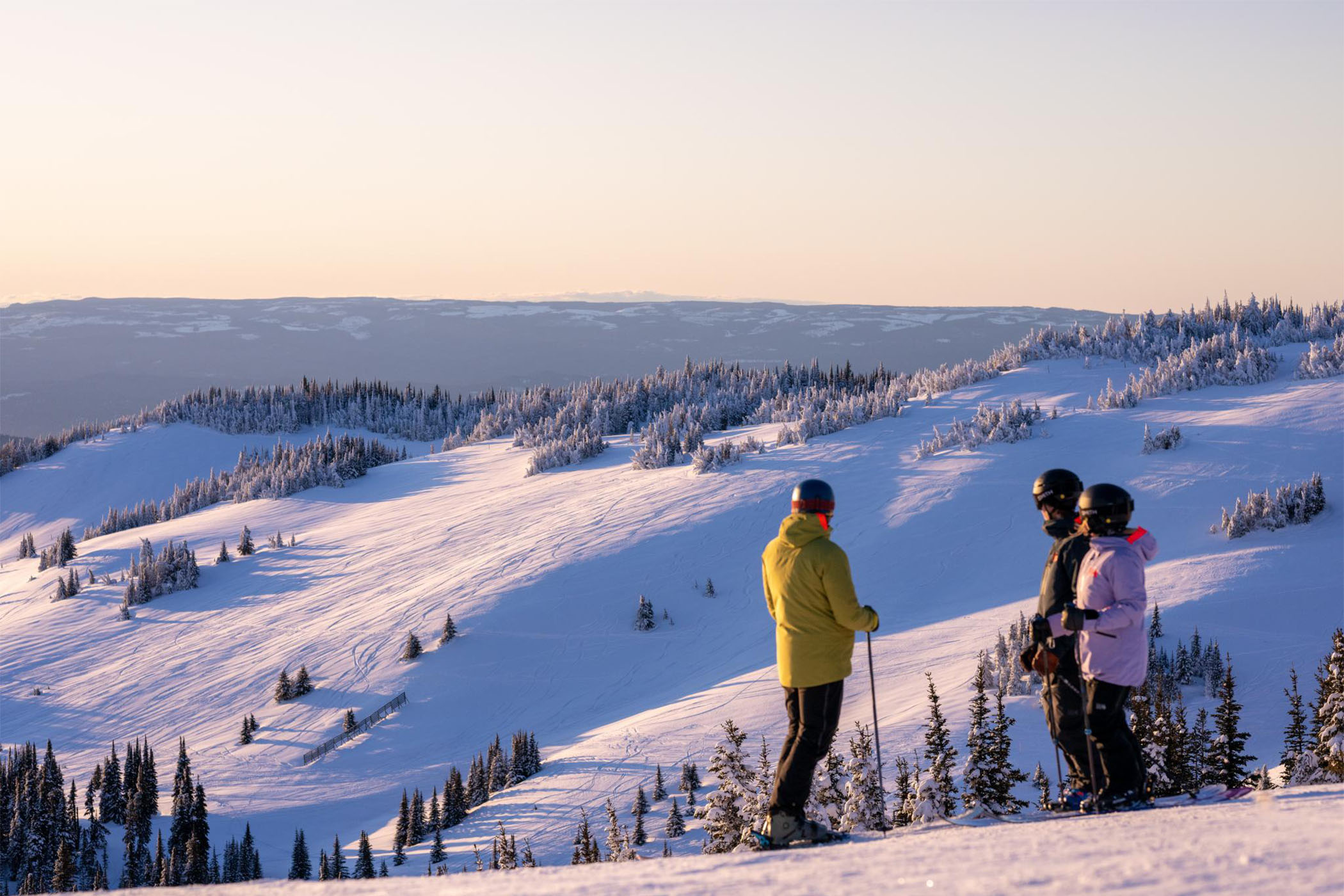 Three skiers look out over untouched snowy terrain at sunset.