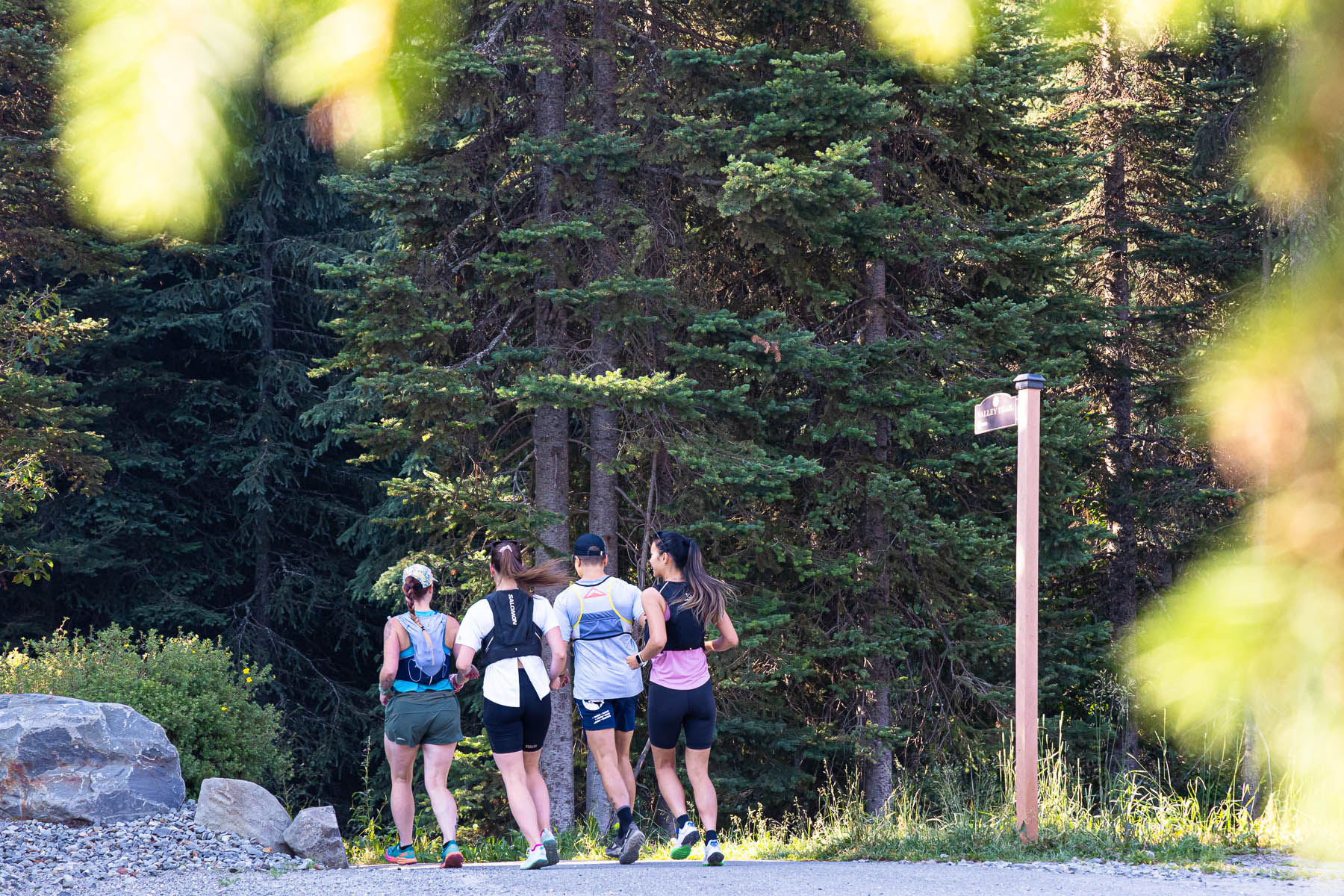 trail runners on valley trail in sun peaks