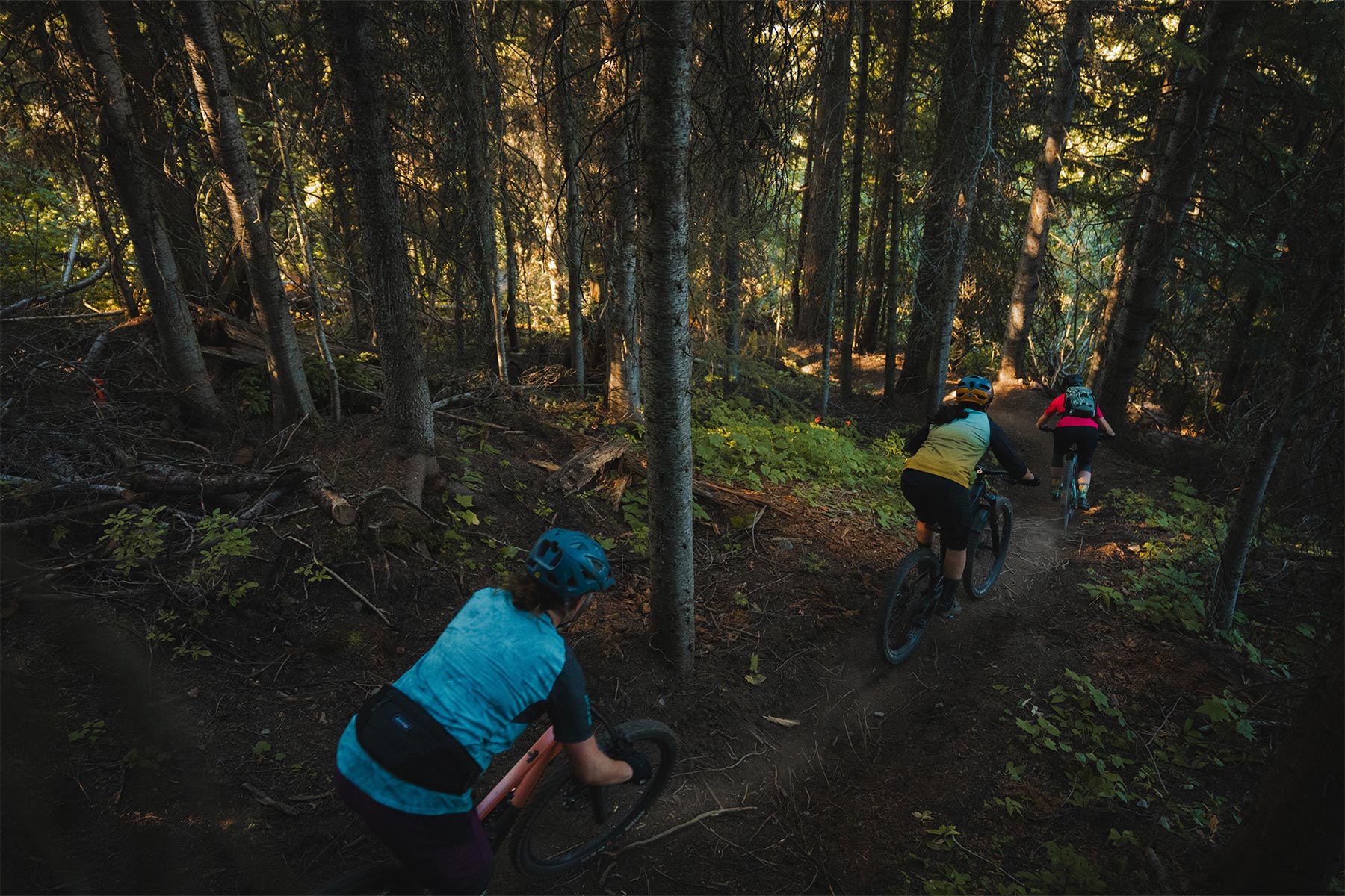 Three bikers riding down a trail with sunlight shining through