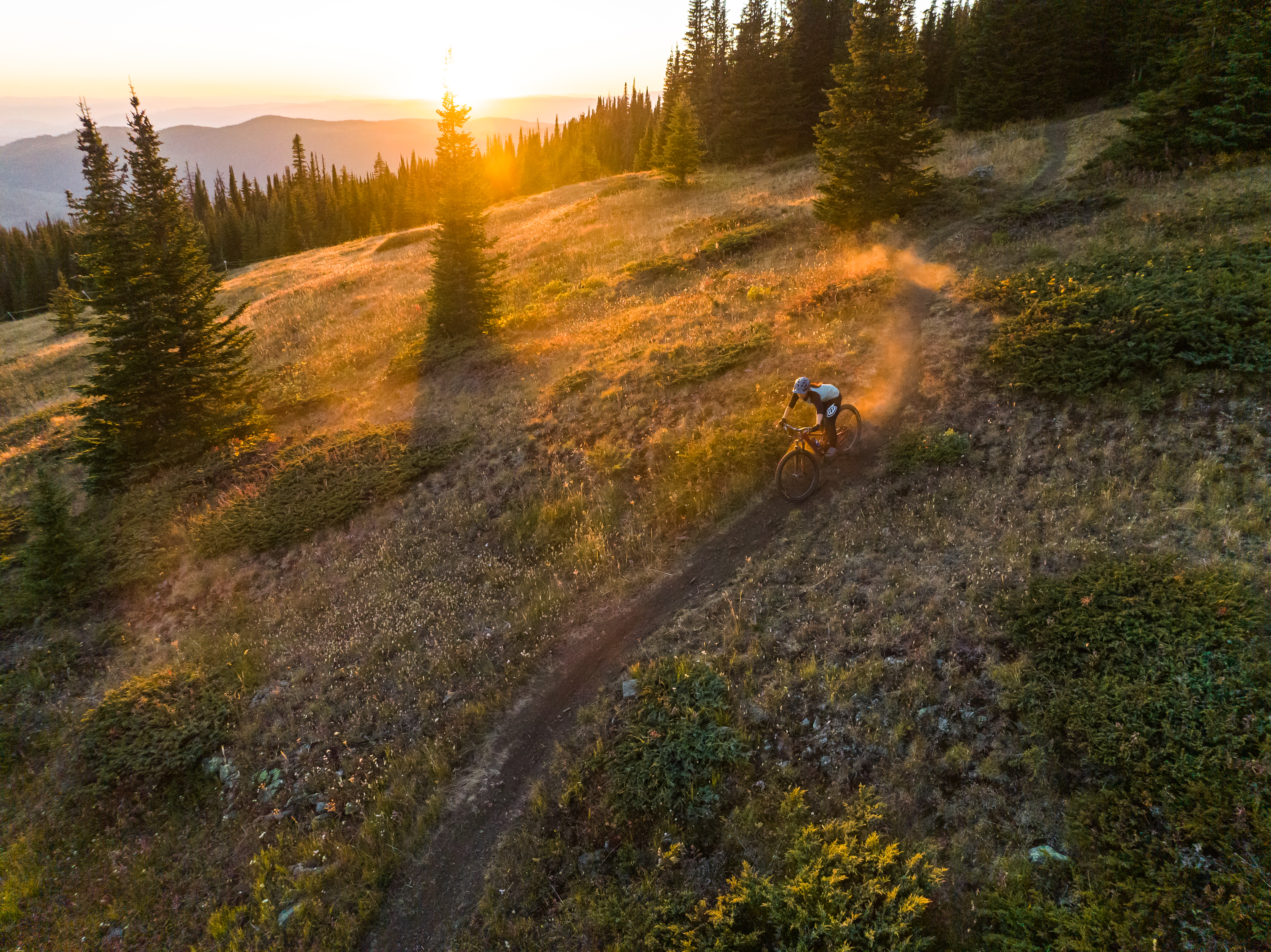 Mountain biker biking down a trail at Sun Peaks Resort
