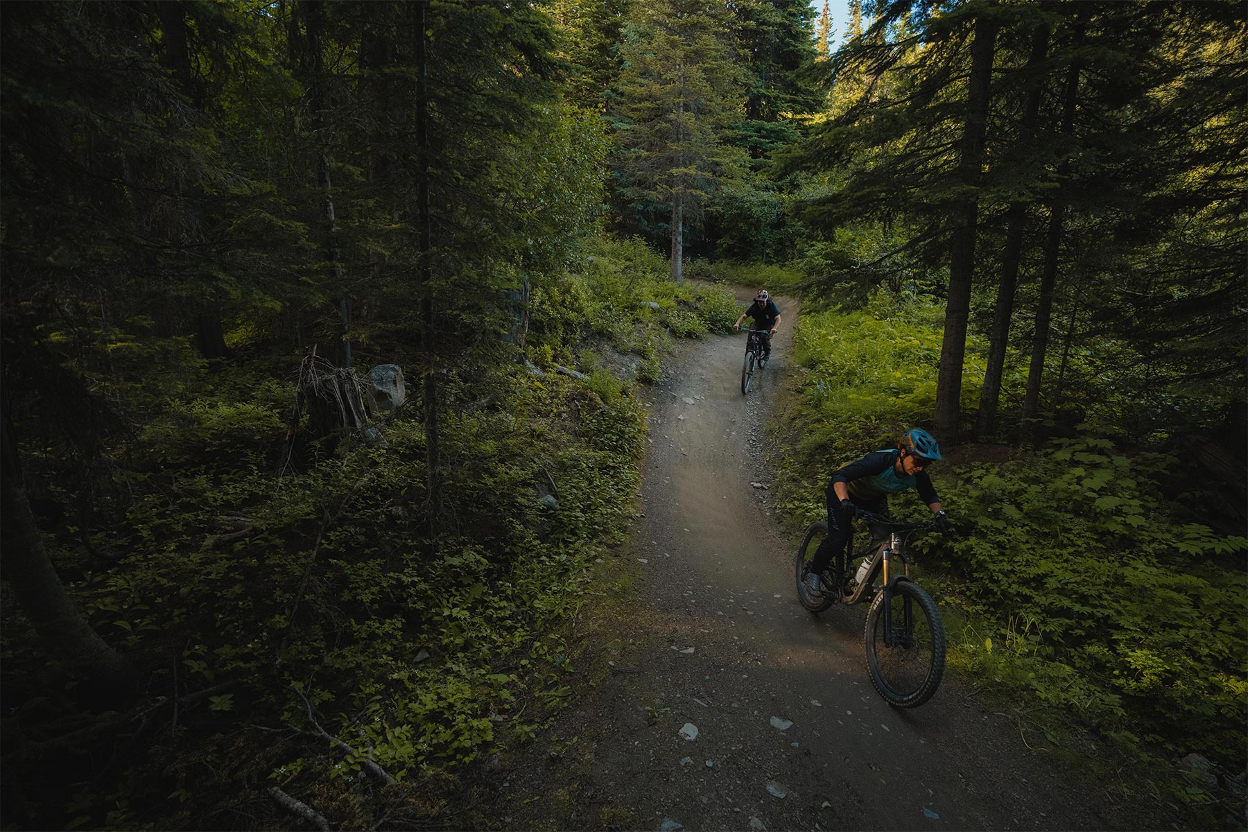 two people biking on a dh trail with trees around them