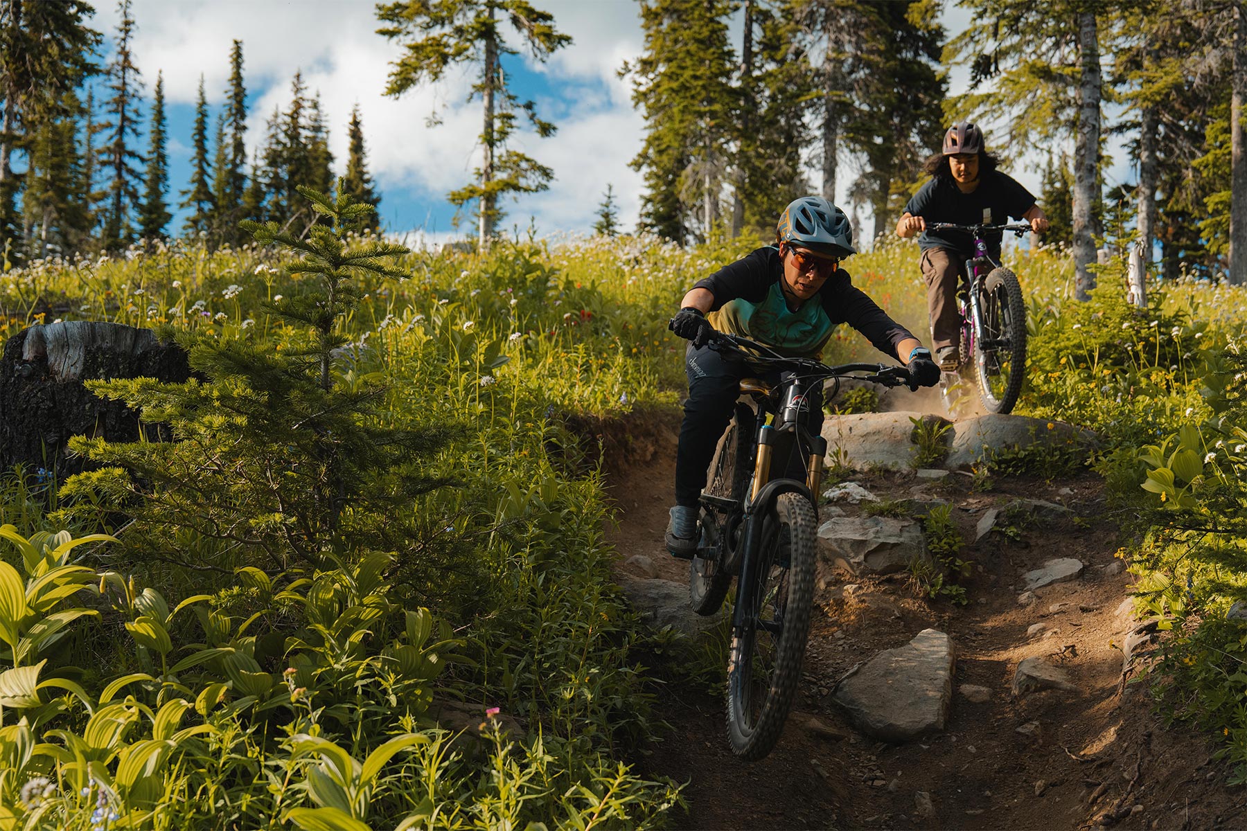 two people biking through green trees