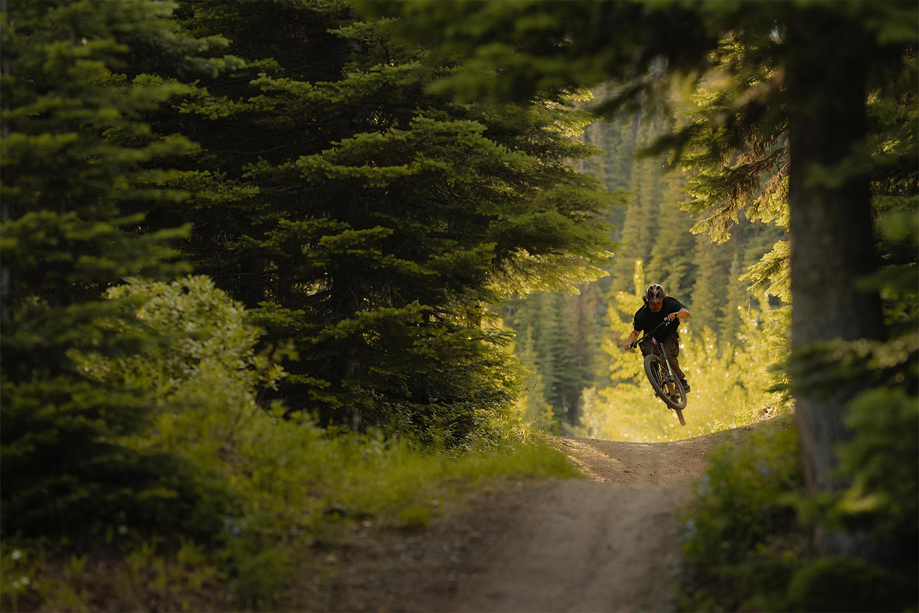 biker hitting a jump on a dirt trail
