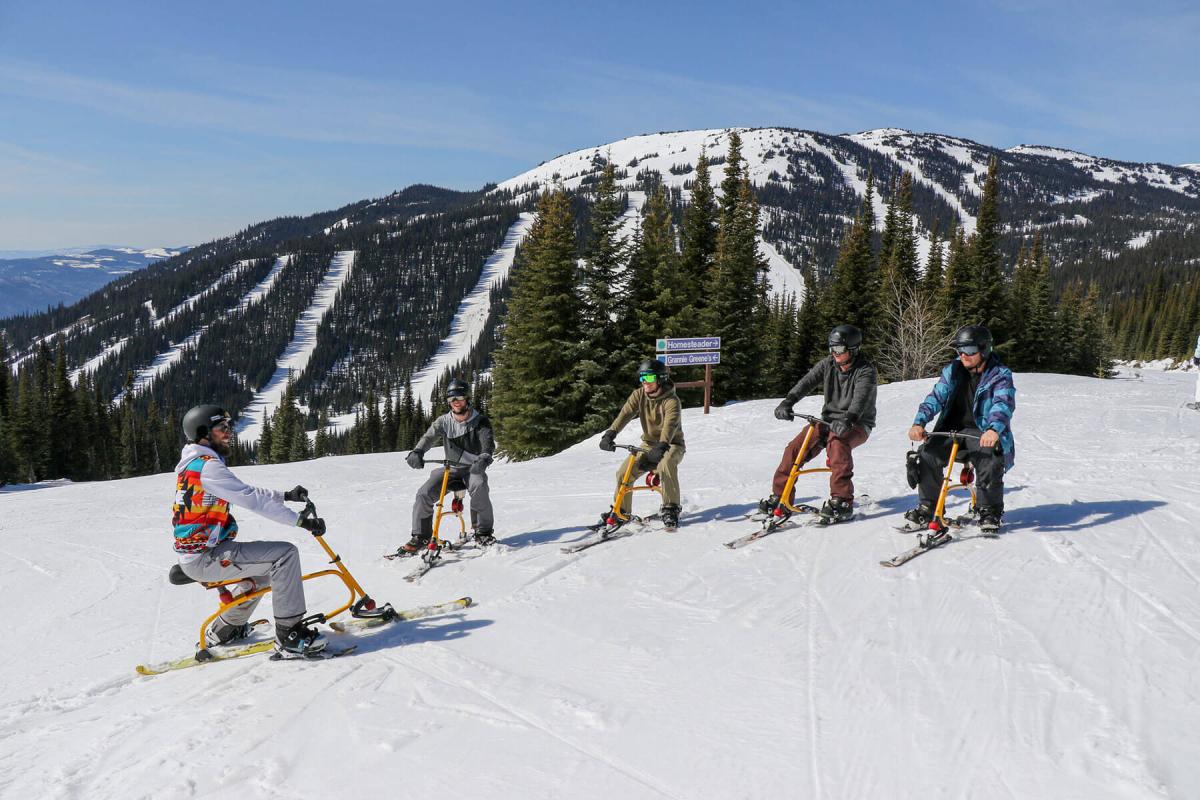 snow ski bike