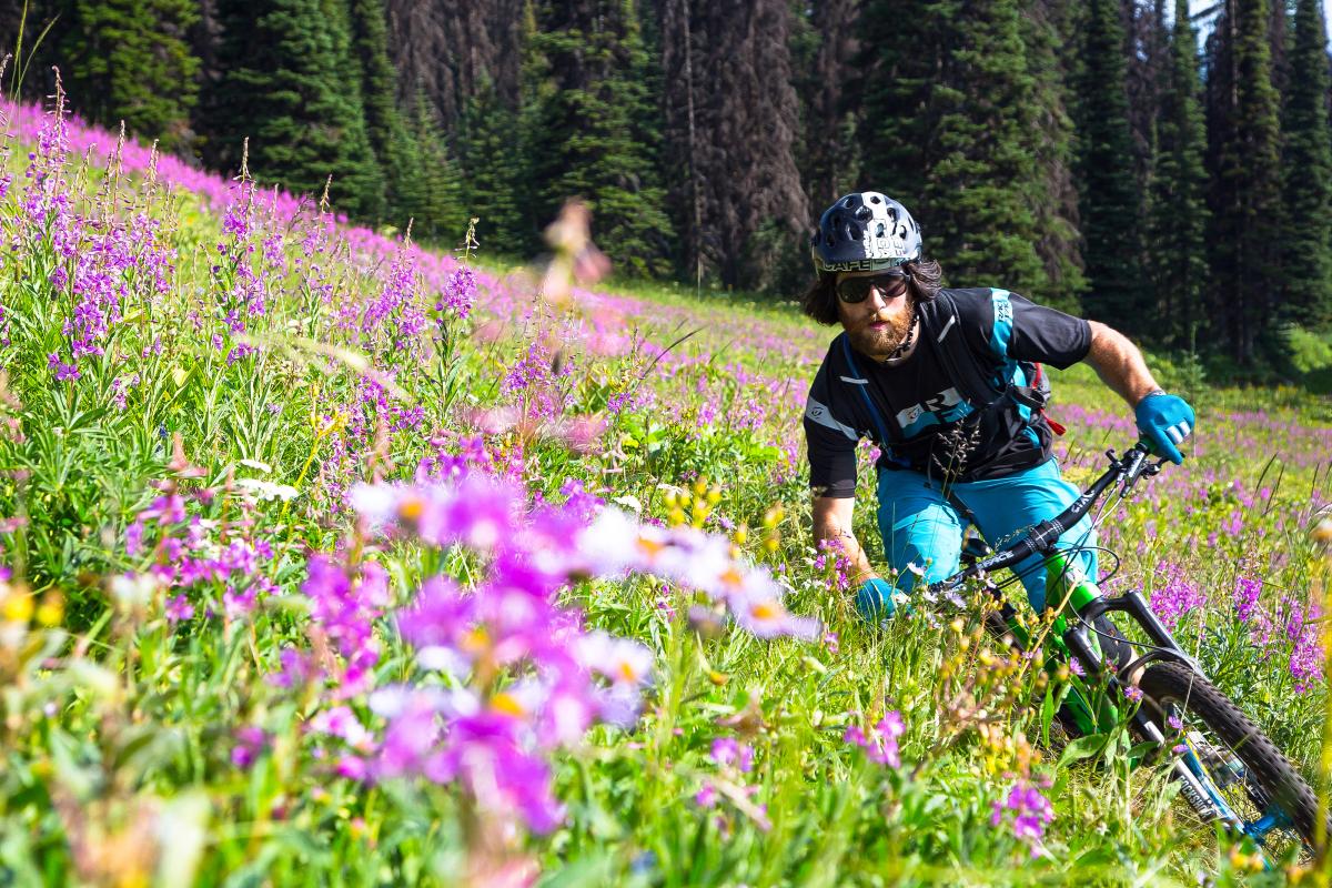 Sun Peaks In Summer | Sun Peaks Resort