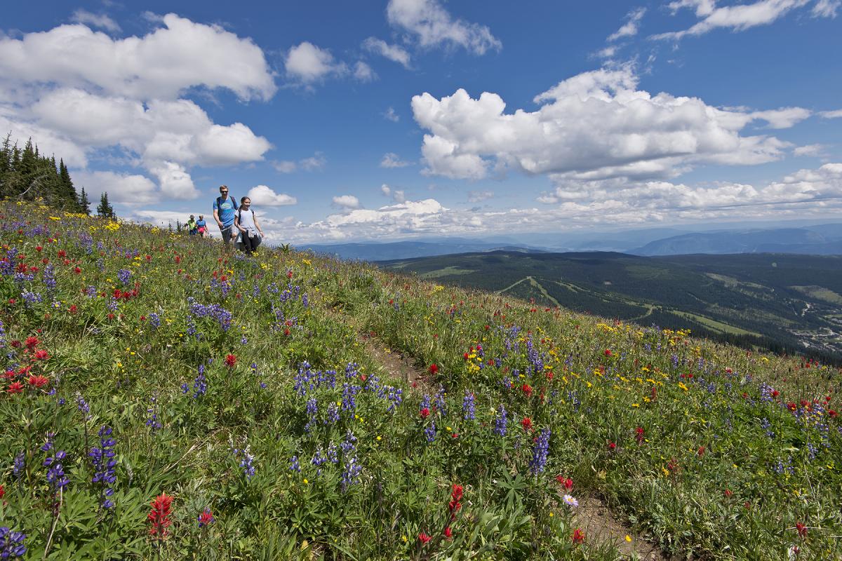 RVing & Camping | Sun Peaks Resort