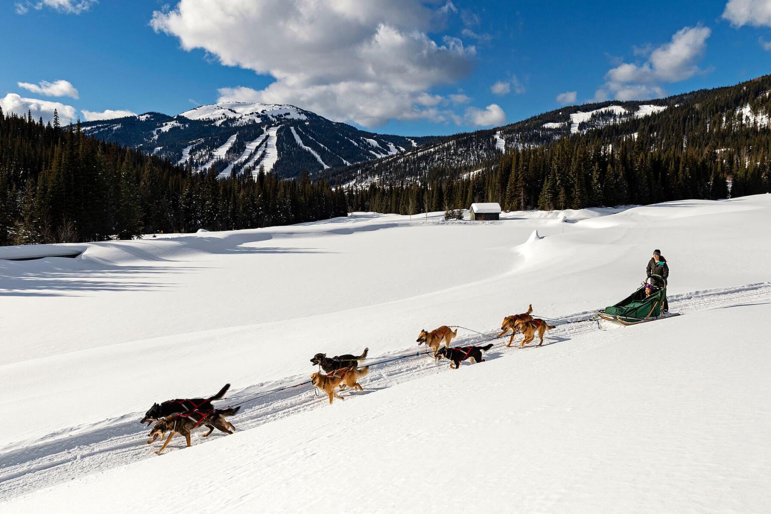 dog sled tours in michigan