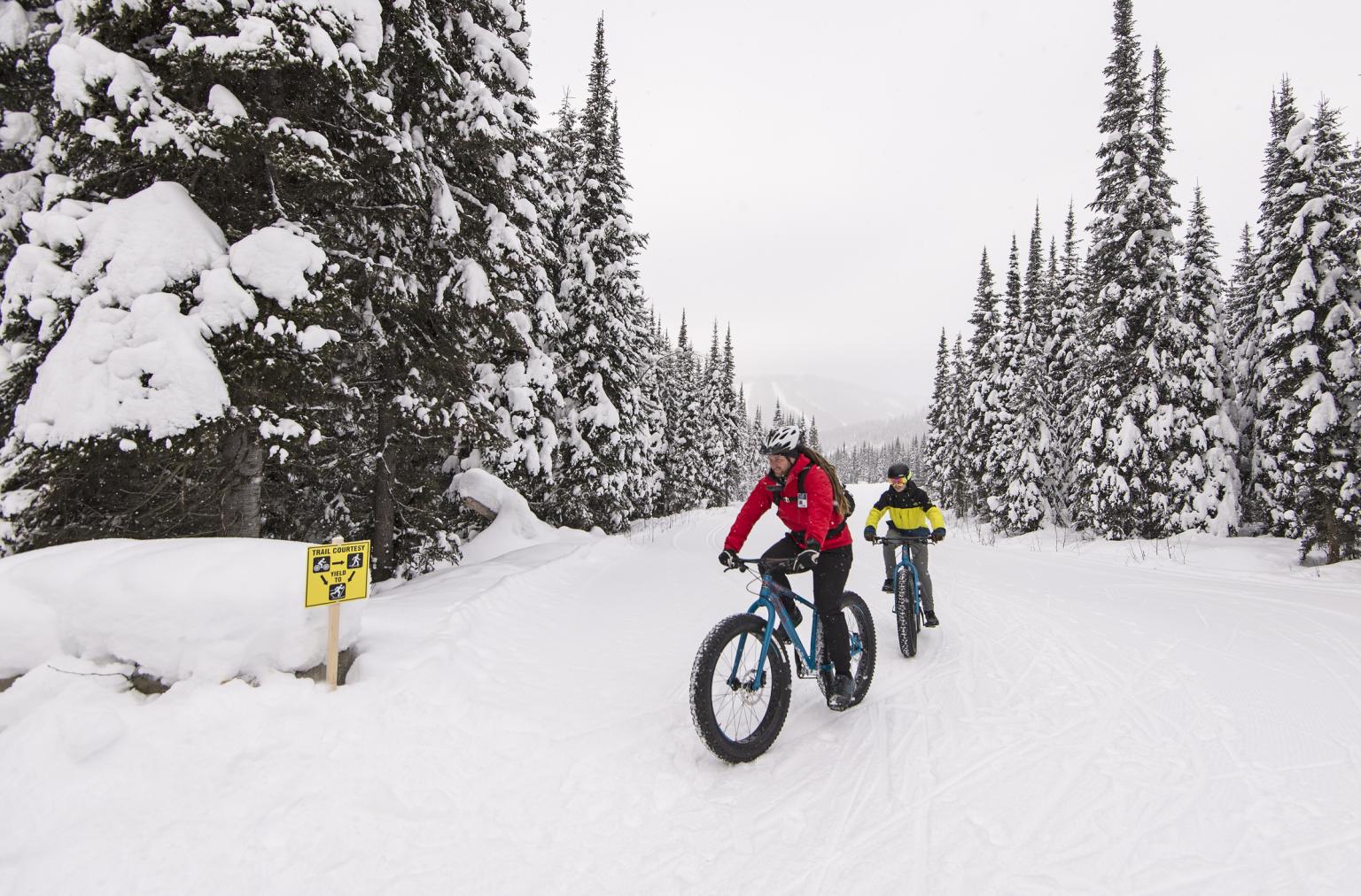 Fat bike hot sale trails