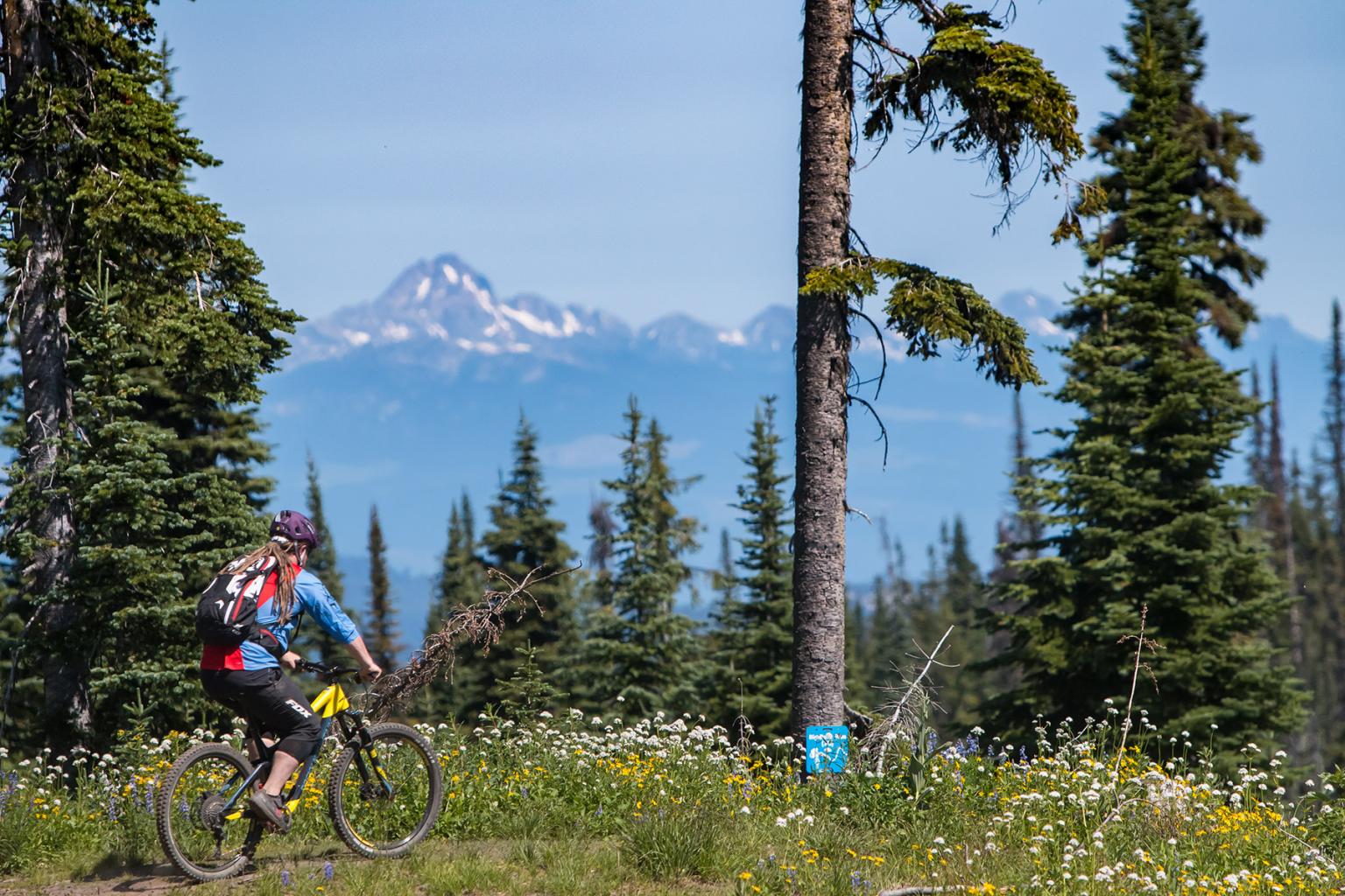 sun peaks xc trails