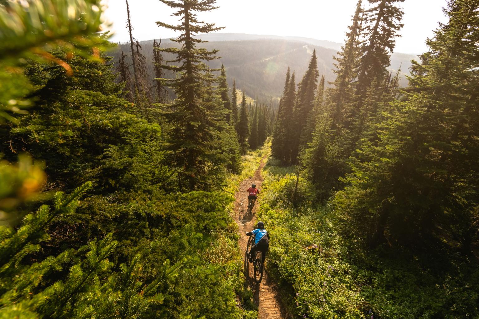 Sun peaks downhill online biking