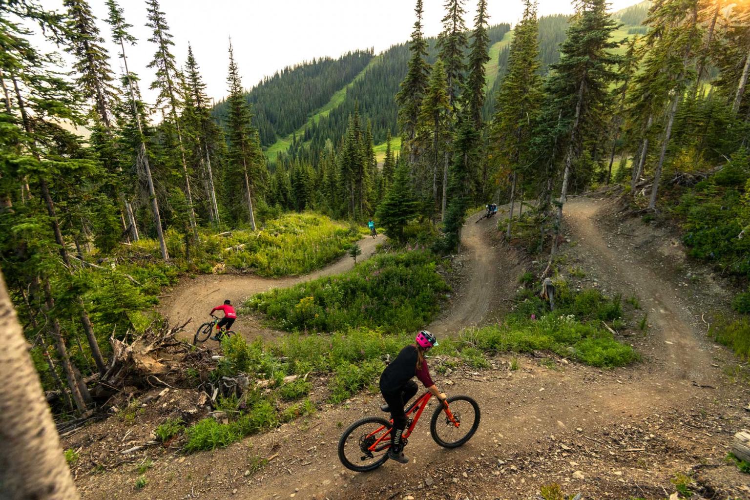 Downhill bike park online near me