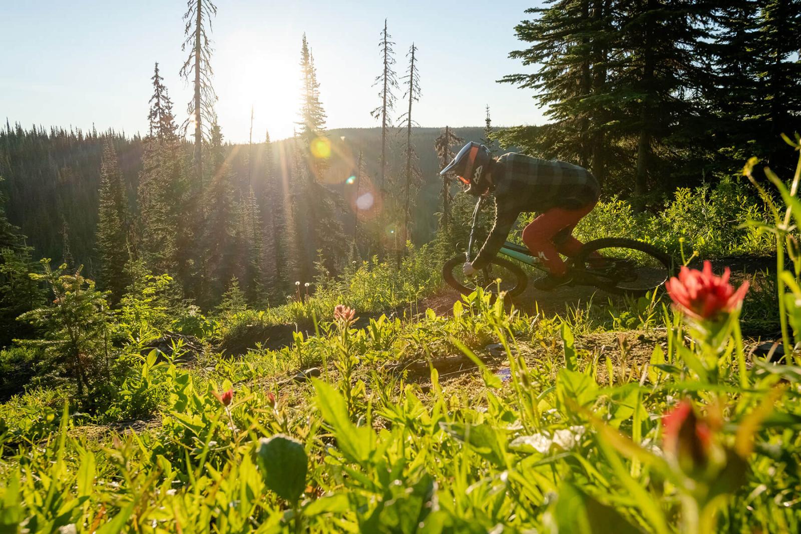 mount sunapee bike park