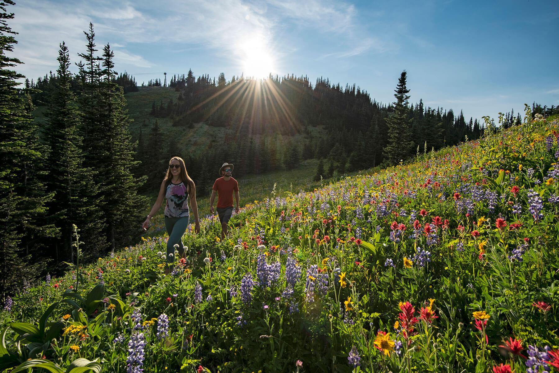 Sun Peaks Hiking Trails Our 5 Favourite Scenic Hiking Trails In Sun Peaks | Sun Peaks Resort