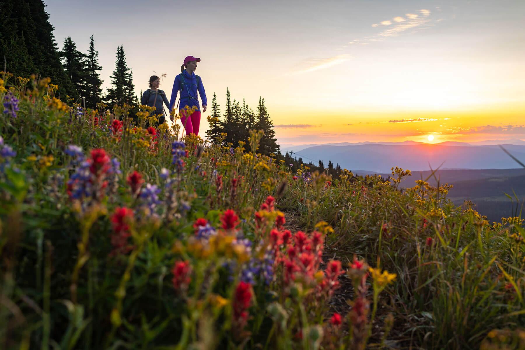 Sun Peaks in Summer Sun Peaks Resort