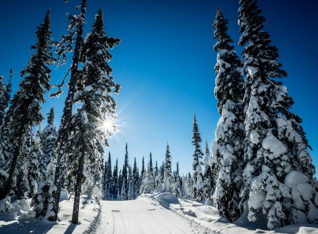 The Splendour Of Sun Peaks Resort In 21 Gorgeous Photos 